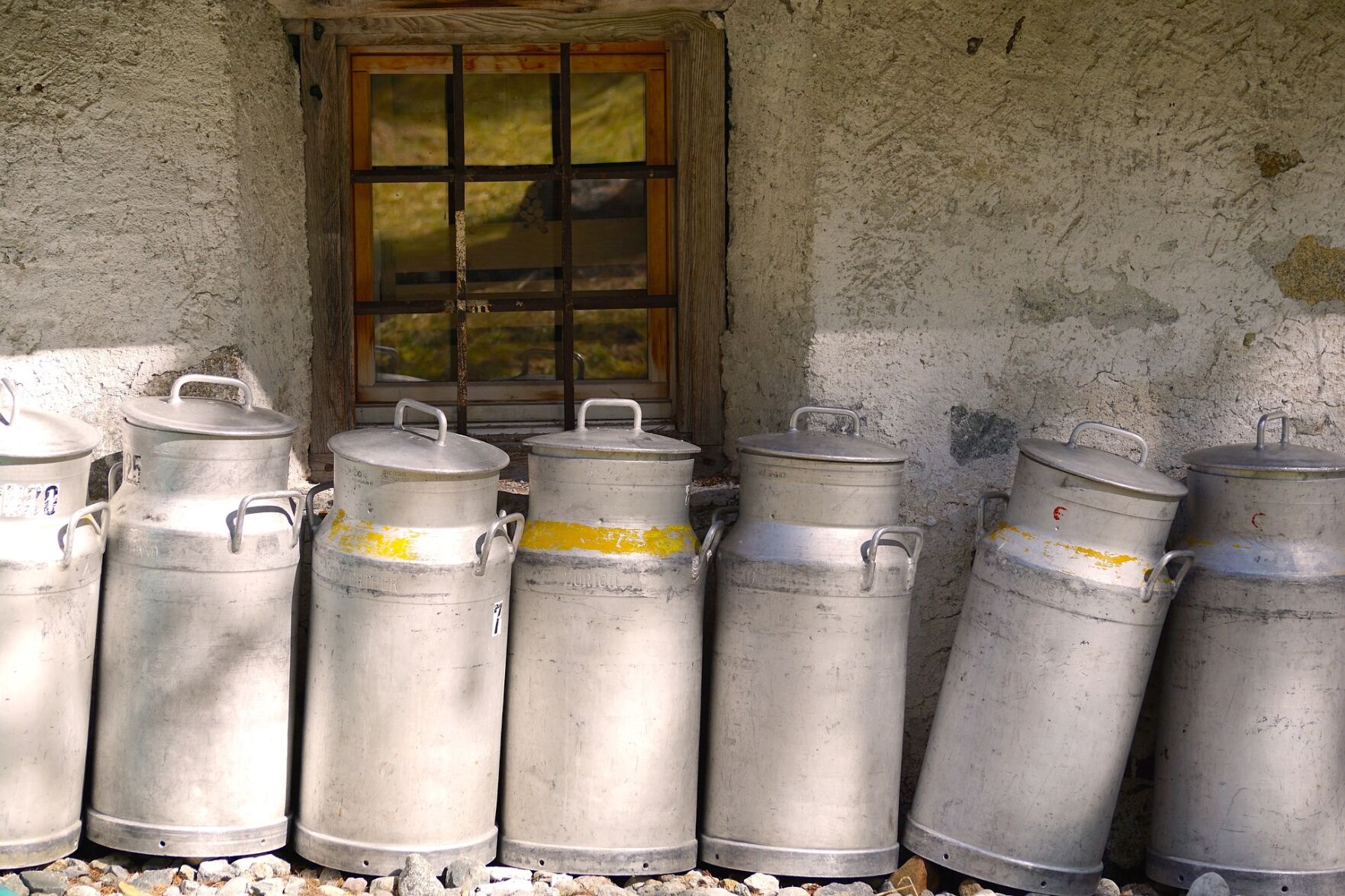 Eight maids-a-milking: $58.00 (0.0%)